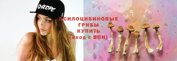 амф Нефтекумск