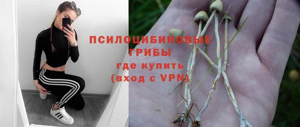 скорость Новокубанск