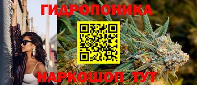 каннабис Кандалакша