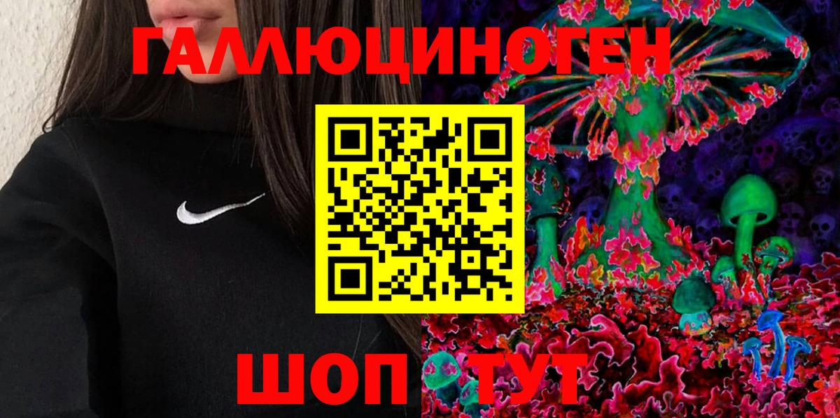 Галлюциногенные грибы MAGIC MUSHROOMS  Полевской  Псилоцибиновые грибы GOLDEN TEACHER 