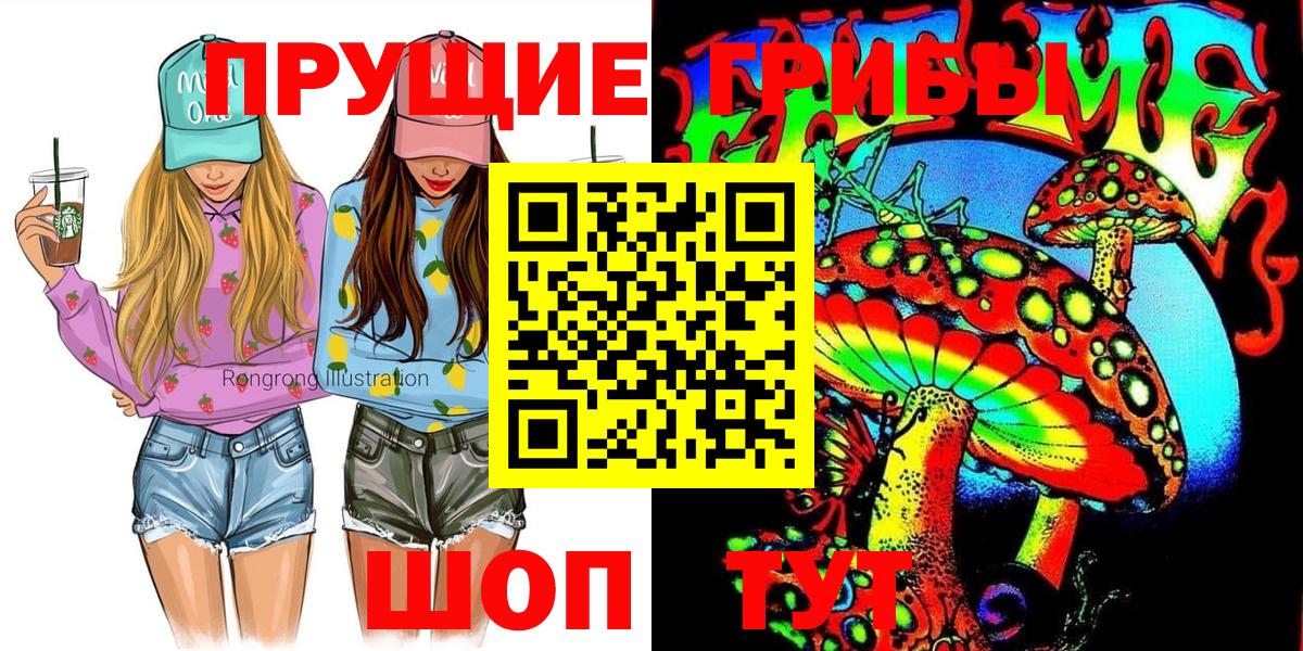 Галлюциногенные грибы Psilocybine cubensis Полевской